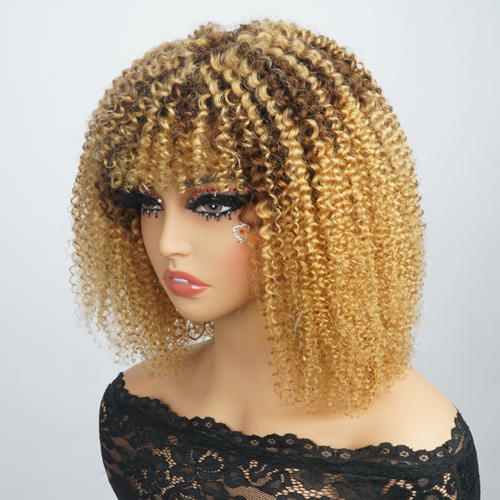 Glueless Brown Ombre Golden  6x4/13x4 Lace Front Curly  Wigs  Human Hair Undetectable Clear Transparent