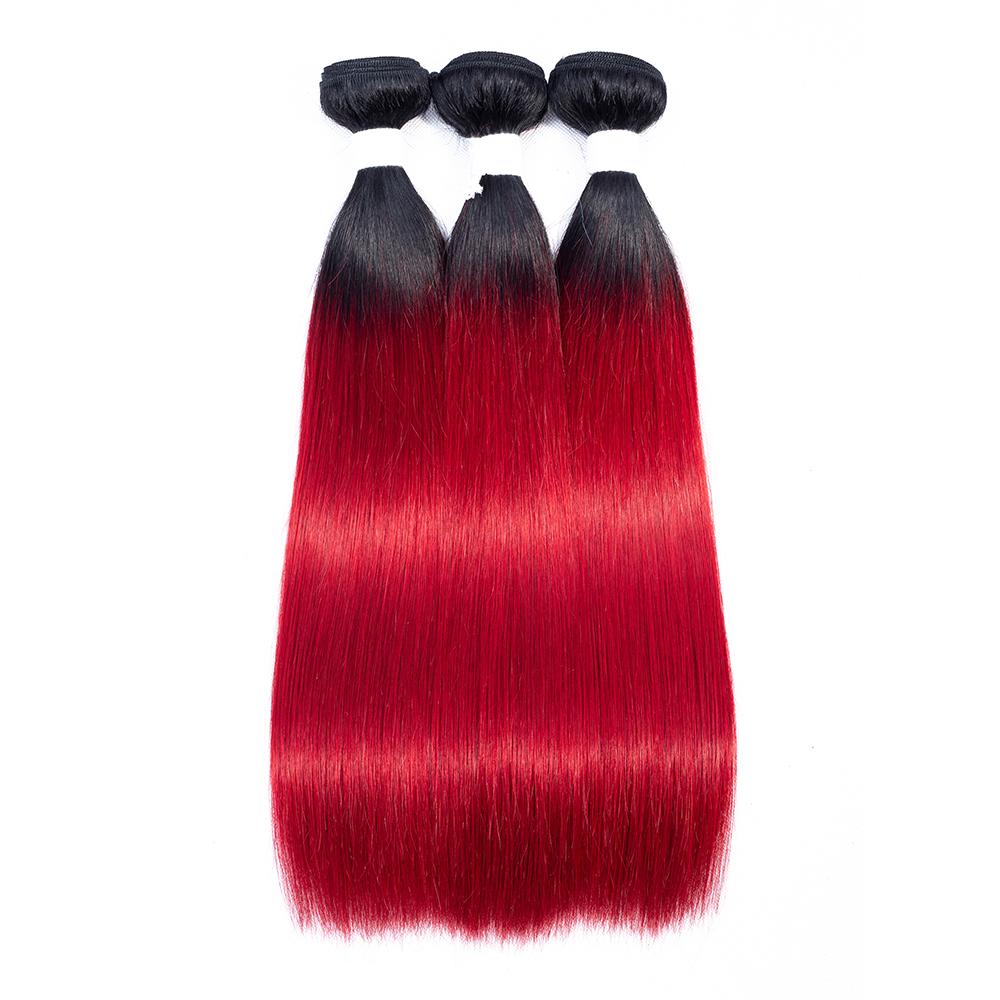Amanda Ombre Colored Bundles With Closure T1B/Red Silk Straight 100% Human Hair