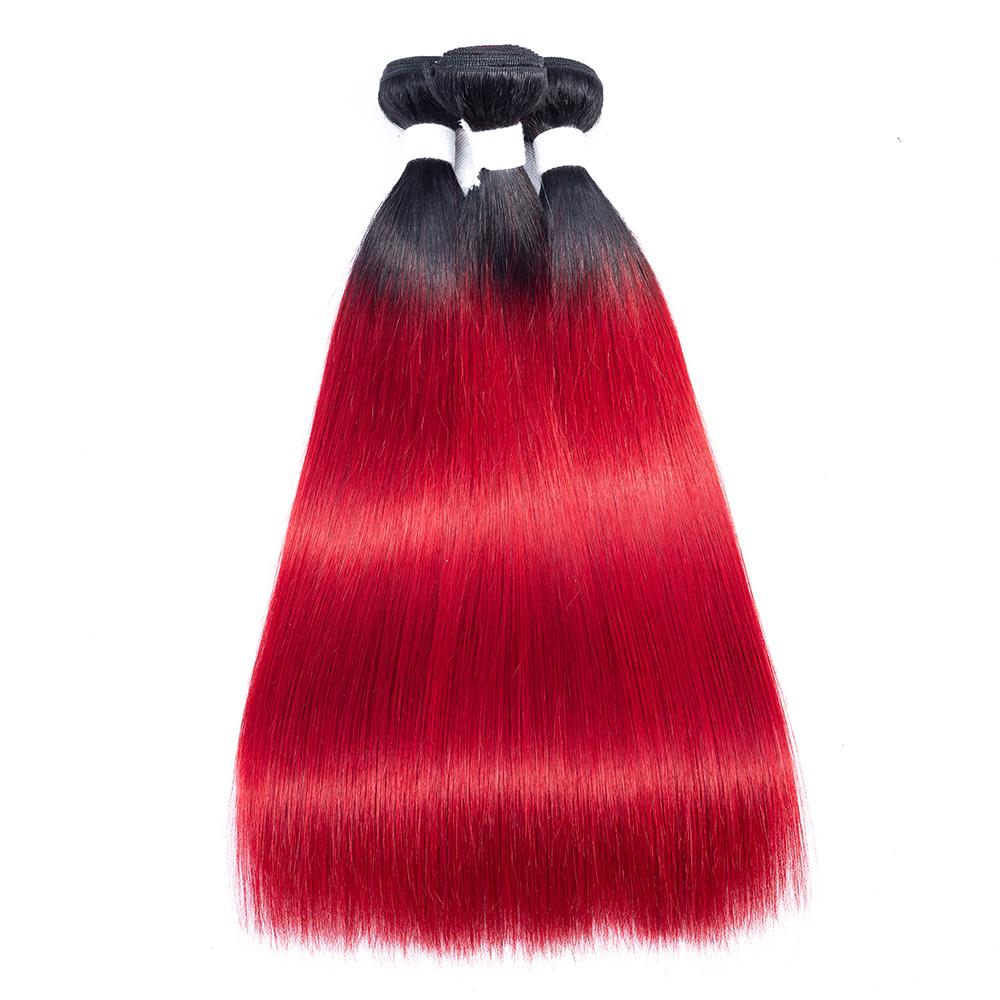 Amanda Ombre Colored Bundles With Closure T1B/Red Silk Straight 100% Human Hair