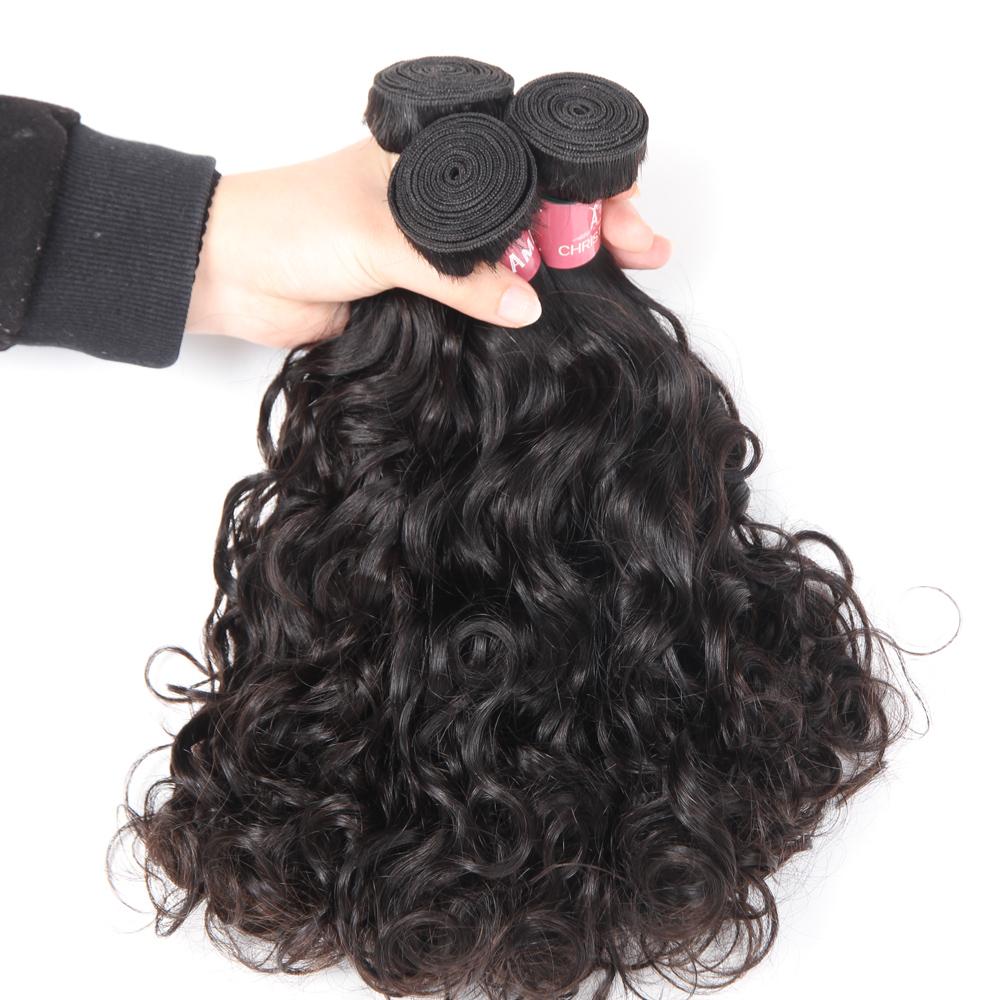 Brazilian Water Wave 3 Bundles With 4*4 Lace Closure 10A Grade 100% Remi Human Hair Hot Sell Wave Bundles Hair Extensions - Amanda Hair