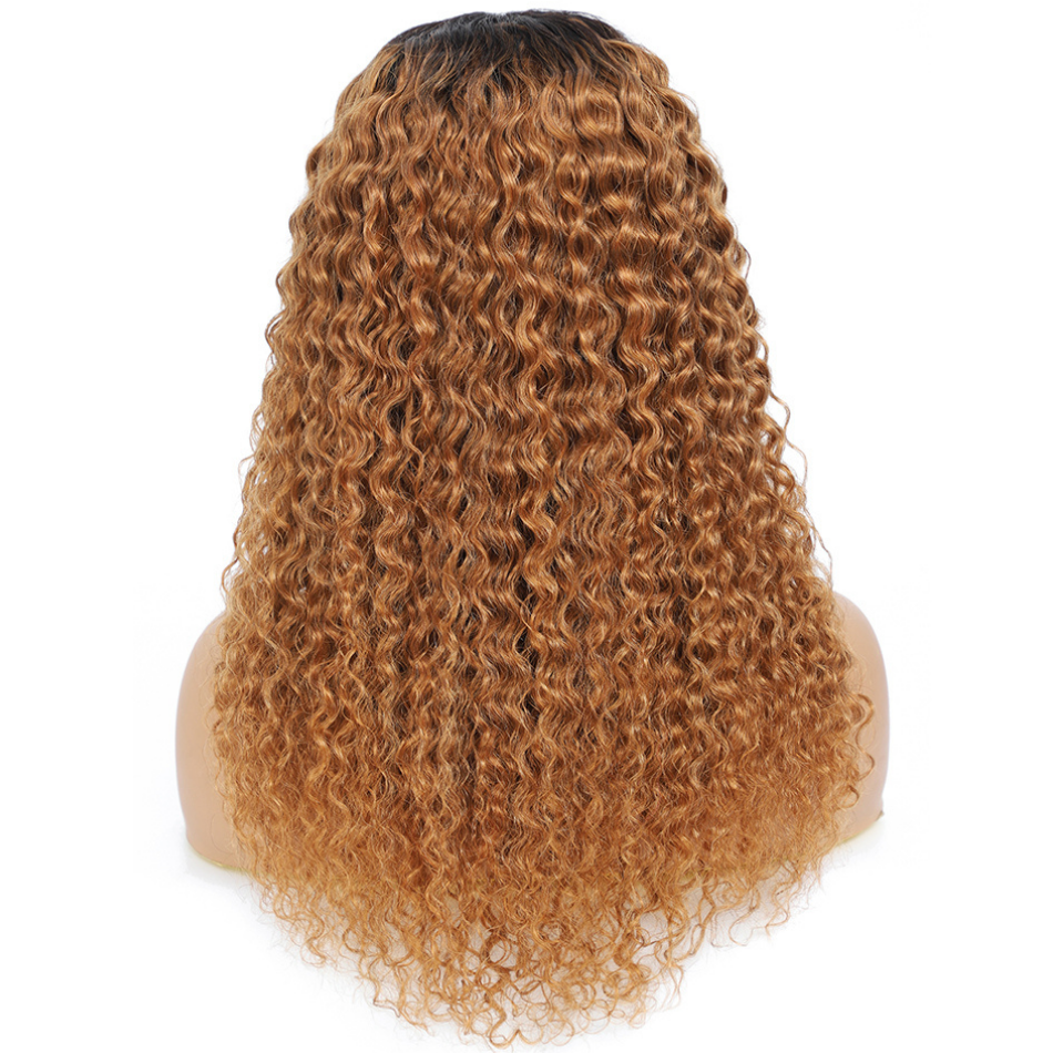 Jerry Curly Ombre Honey Blonde T1b/30 Color Lace Front T Part Wigs - Amanda Hair